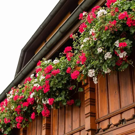 Apartmán In The Valley Of The Black Forest *