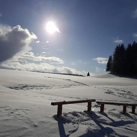 In The Valley Of The Black Forest