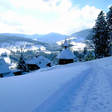 Ferienwohnung, Bernau im Schwarzwald